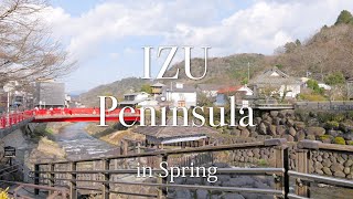 3 Days in Izu Peninsula | spring in japan is magical