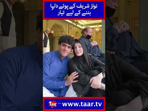 Nawaz Sharif Grandson Zayd Hussain Nawaz Sharif | TaarMedia | @TaarMedia