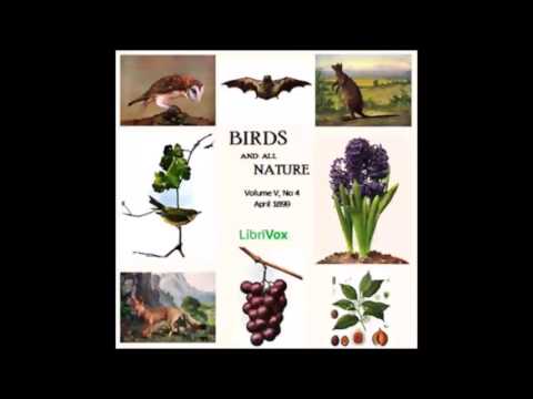 Birds and All Nature, Vol. V, No 4, April 1899 (FULL Audiobook)