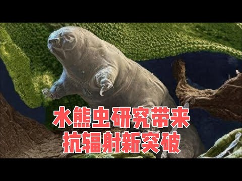 11.28 水熊虫抗辐射研究：揭秘航空航天与医学的抗辐射救星