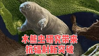 11.28 水熊虫抗辐射研究：揭秘航空航天与医学的抗辐射救星