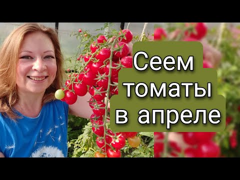 ТОМАТЫ КОТОРЫЕ ЕЩЕ НЕ ПОЗДНО ПОСЕЯТЬ | СЕЕМ ТОМАТЫ В АПРЕЛЕ | Светлана Самойлова