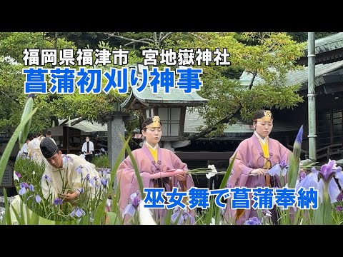 Miyajidake Shrine  First Iris Cutting Ceremony  Shrine Maiden Dance