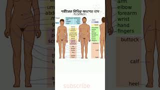 Human body parts name #dpenglishacademy #english #shorts