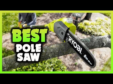 ✅ Best Pole Saw 2022 [Buying Guide]