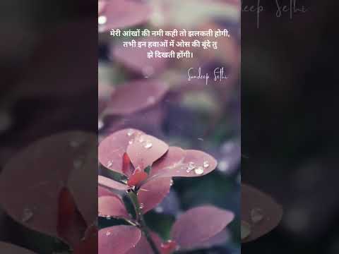 Ankhon ki Nami Shayari | Shayari Status | Romantic Love Status