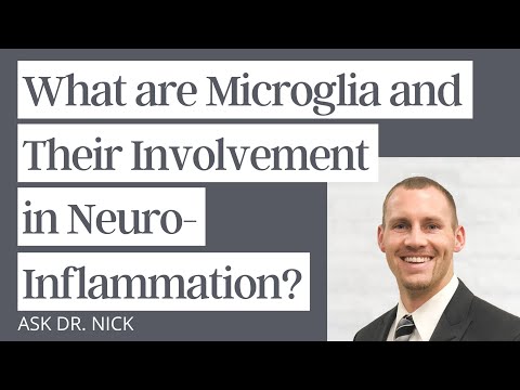 What are Microglia and Their Involvement in Neuroinflammation?