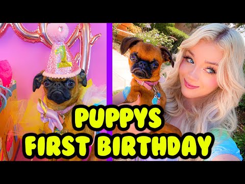 My Puppys First Birthday Party!! Lyssy Noel