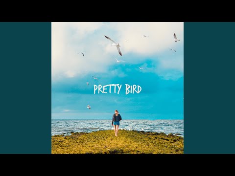 Pretty Bird