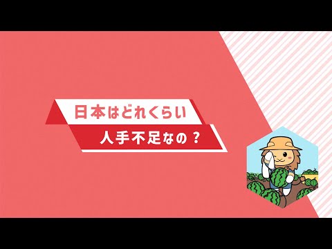 ２．日本はどれくらい人手不足なの？（令和６年版　労働経済の分析　分割版動画２／５）