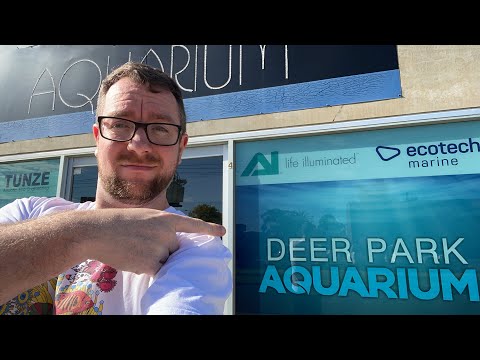 Reef Shop Tour Live!