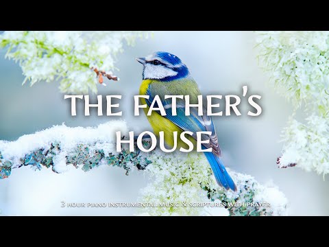 The Father's House : Instrumental Worship and Scriptures with Birds 🕊 Christian Instrumental