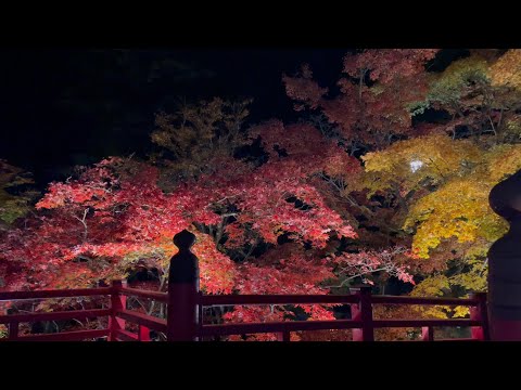 [Yahiko Village] The warmth of colorful autumn leaves and the autumn breeze color the village