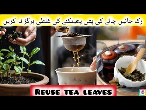 chai ki istemal shuda patti ka istemal| How to use leftover tea leaves #tealeaves #chaikipatti #tips