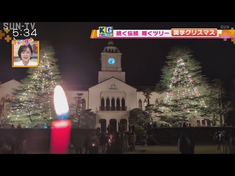 【KG visit】続く伝統 輝くツリー　関学クリスマス