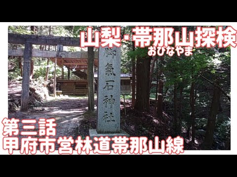 【ドライブ動画】山梨•帯那山探検　第三話 甲府市営林道帯那山線