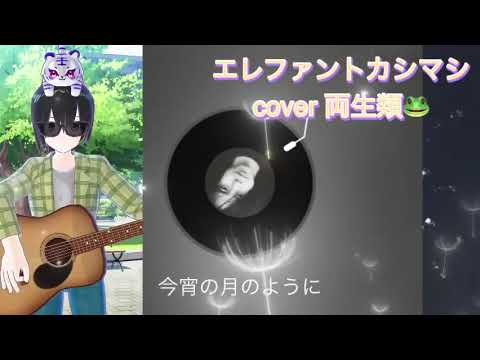 今宵の月のように cover 両生類🐸 エレファントカシマシ 懐かしの邦楽 90年代 jpop