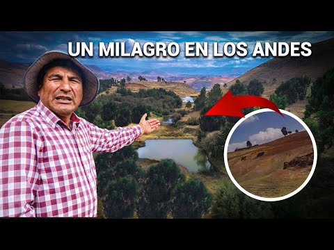 Incredible: A desert was transformed into a living forest thanks to water seeding in the Andes