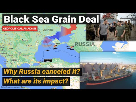 Black Sea Grain Deal Initiative Explained | Why Russia quit exit agreement | Ukraine grain export