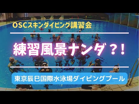 スノーケリング初心者大歓迎！練習風景お見せします！OSCスキンダイビング講習会（基礎編・応用実践編）in 東京辰巳国際水泳場