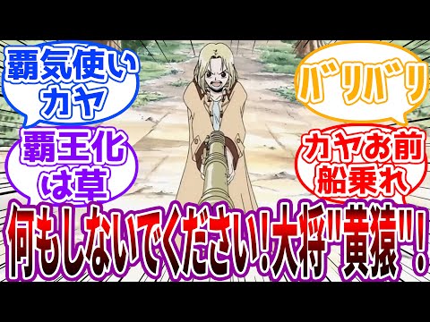 「クロコダイル…あなたロギアですね？(武装色)」覇気使い”カヤ”に対する読者の反応集【ワンピース】