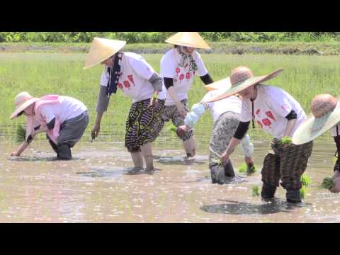 新たな農作業着「モンペッコ」