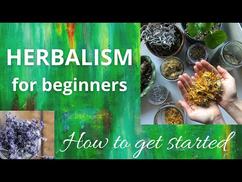 Herbalism for beginners - How to get started