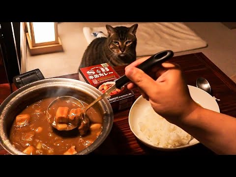 深夜のカレーライス。最新の赤缶カレーパウダールウで作ってみた。