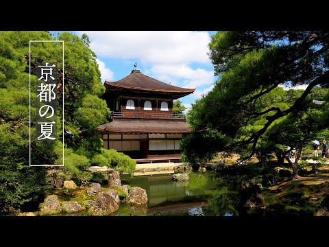 Summer Gardens in KYOTO. 京都の夏のガーデン #kyoto