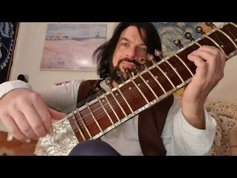 SITAR LESSONS Lezioni di Sitar 6 #sitar #lesson #musicschool