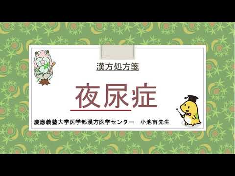 はじめての漢方e-learning 「症状から選ぶ漢方薬」【第30章】 夜尿症