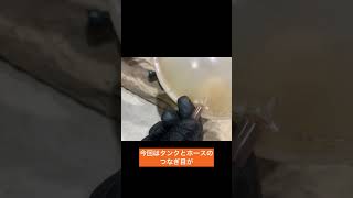 ポルシェマカンターボ 冷却水漏れ