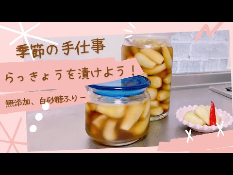 季節の手仕事 " らっきょうを漬けよう 🌱"