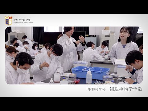 北里大学理学部 実習紹介 細胞生物学実験