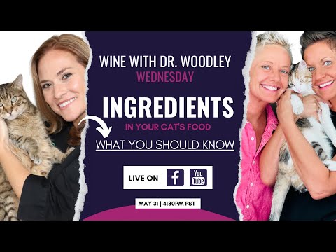 What's REALLY in Cat Food? | Wine With Dr. Woodley Wednesday | Two Crazy Cat Ladies