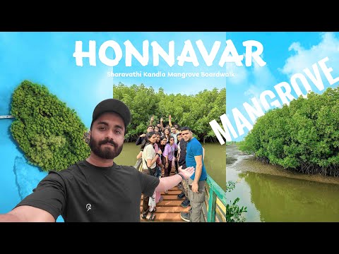 Mangrove Forest Honnavar | Sharavathi Kandla Mangrove Boardwalk | Eco Beach Kasarkod Karnataka