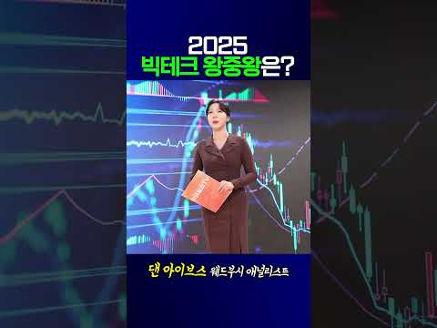 [월간 댄 아이브스] 2025 빅테크 왕중왕은? | 댄 아이브스 웨드부시 애널리스트