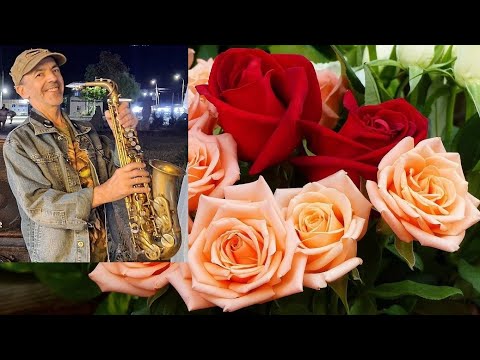 Бархатный Саксофон Красивые Мелодии🌊Beautiful Music Saxophone  🎷💖🎵