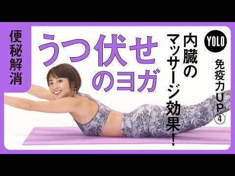 【便秘解消】内臓のマッサージ効果も！うつ伏せのヨガ【YOLO】