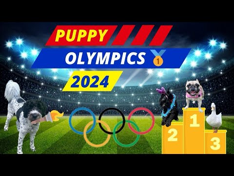 Puppy Olympics : Best Moments & Highlights | Puppy Olympics 2024