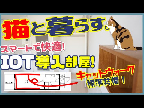 【猫と暮らせる部屋！】キャットウォークも付いてる！IOT導入のにゃんとも快適生活！【一人暮らし向け1K】