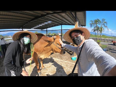 2022/2/26｜姐妹早餐店｜牛頭司耕牛小學堂｜樂屋台式日本料理｜頭城老街