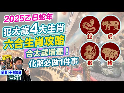 2025十二生肖犯太歲附繁簡字幕｜蛇年4大生肖化煞要做一件事！攝太歲以外六合生肖攻略 合太歲增運 蛇馬羊三會助勢 屬豬沖太歲 屬猴破太歲 屬虎害太歲 蛇年預測 生肖運勢  【囍趣睇相王EP106】