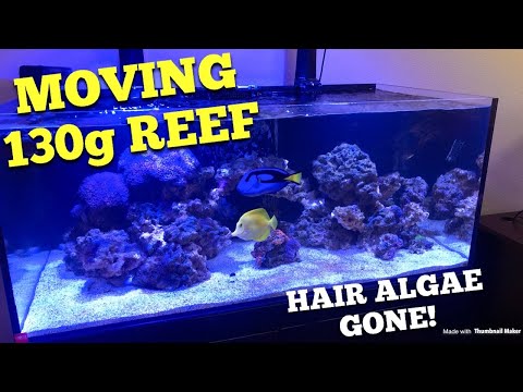 Moving 130g Reeftank without completely taking apart