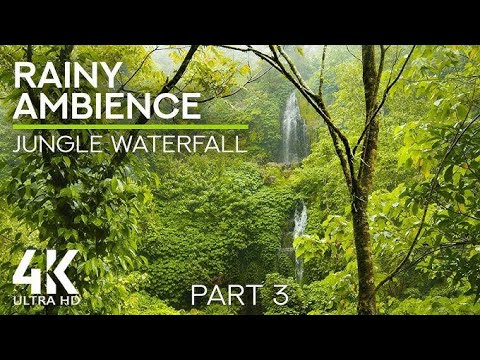 Breathtaking Waterfall Sounds | Peaceful Ambience for Sleep & Relaxation| Rainforest Reels| Part 3