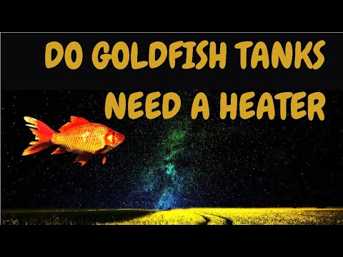 Do Goldfish Tanks Need A Heater