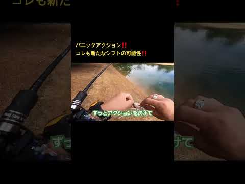 パニックアクション！コレも可能性を広げる技です #fishingdaily #fishing #バス釣り #釣り #GANCRAFT #シフト #パニックアクション #野池 #爆釣 #オカッパリ