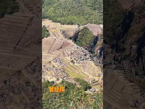 PeruTrip: MachuPicchu 探索失落的印加古城：马丘比丘  #travel  #vlog #shorts #short #shortvideo #peru #machupicchu