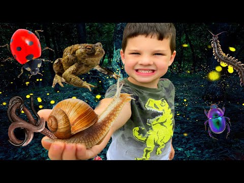 BUG HUNT at NIGHT with Caleb and DAD! Kids Catching FROGS, WORMS, BUGS, Spiders in BACKYARD!