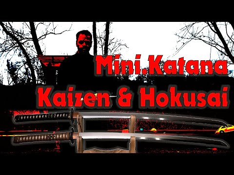 Mini.Katana Tameshigiri Series - $900 Kaizen and $1000 Hokusai Katana Review